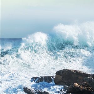 Meet your Posher, Joycelyn